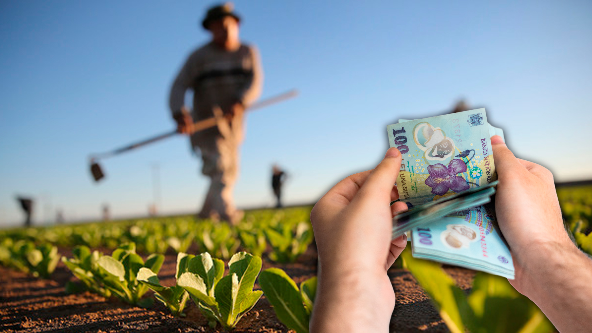 Birocrația europeană sufocă agricultura: peste 50.000 de reguli impuse fermierilor din UE