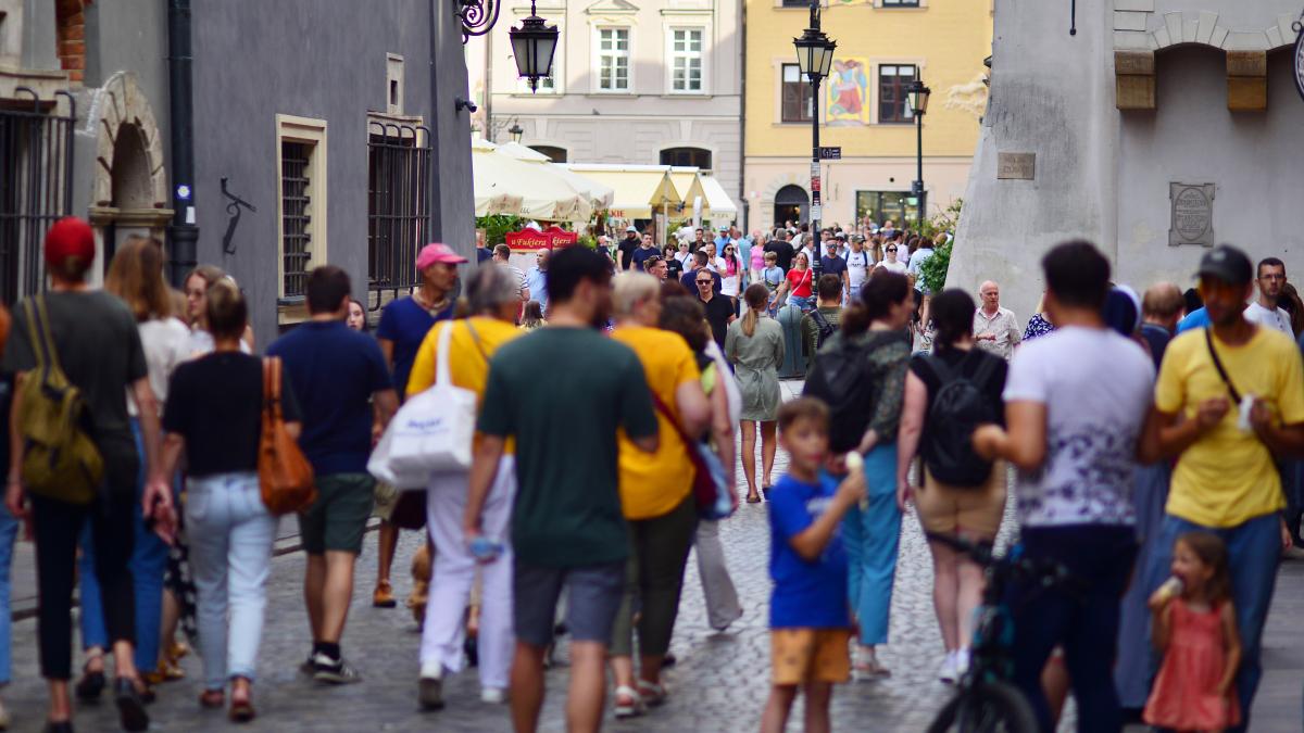 Percepția românilor asupra diasporei și Uniunii Europene: sondaj prezentat de Mădălina Hideg
