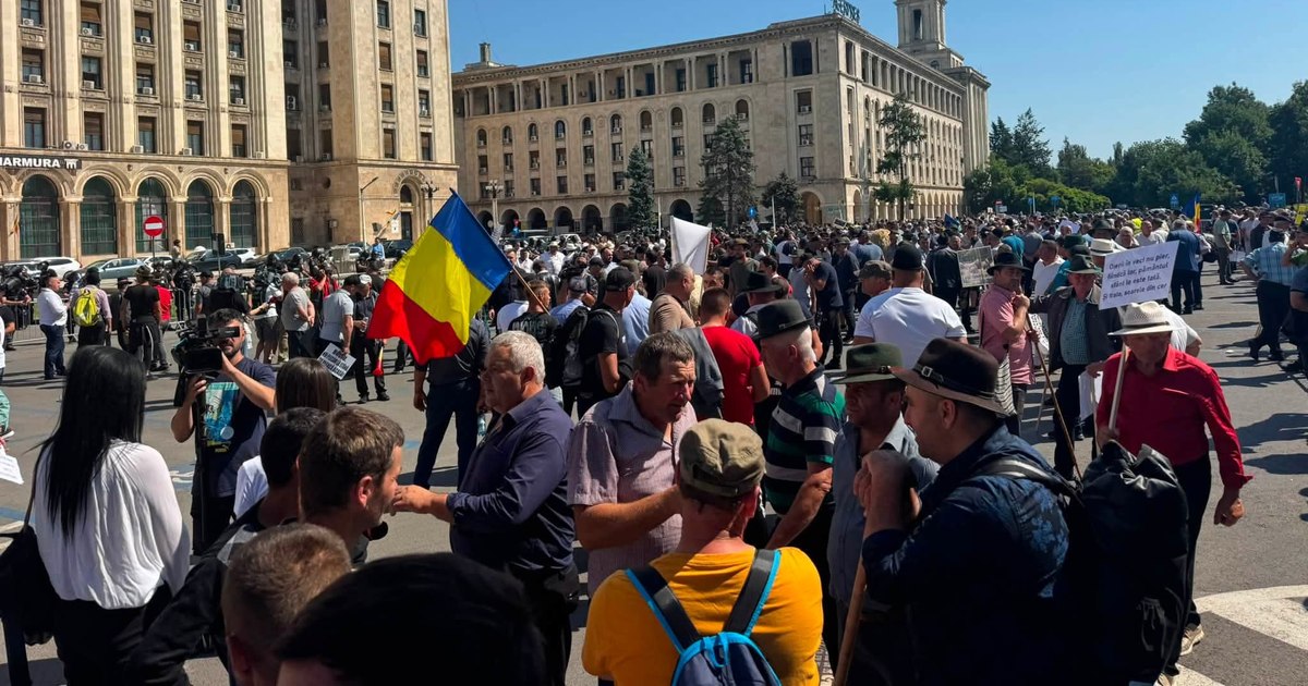 Crescătorii de oi și capre sunt în prag de protest în urma restricțiilor de export impuse de Bruxelles