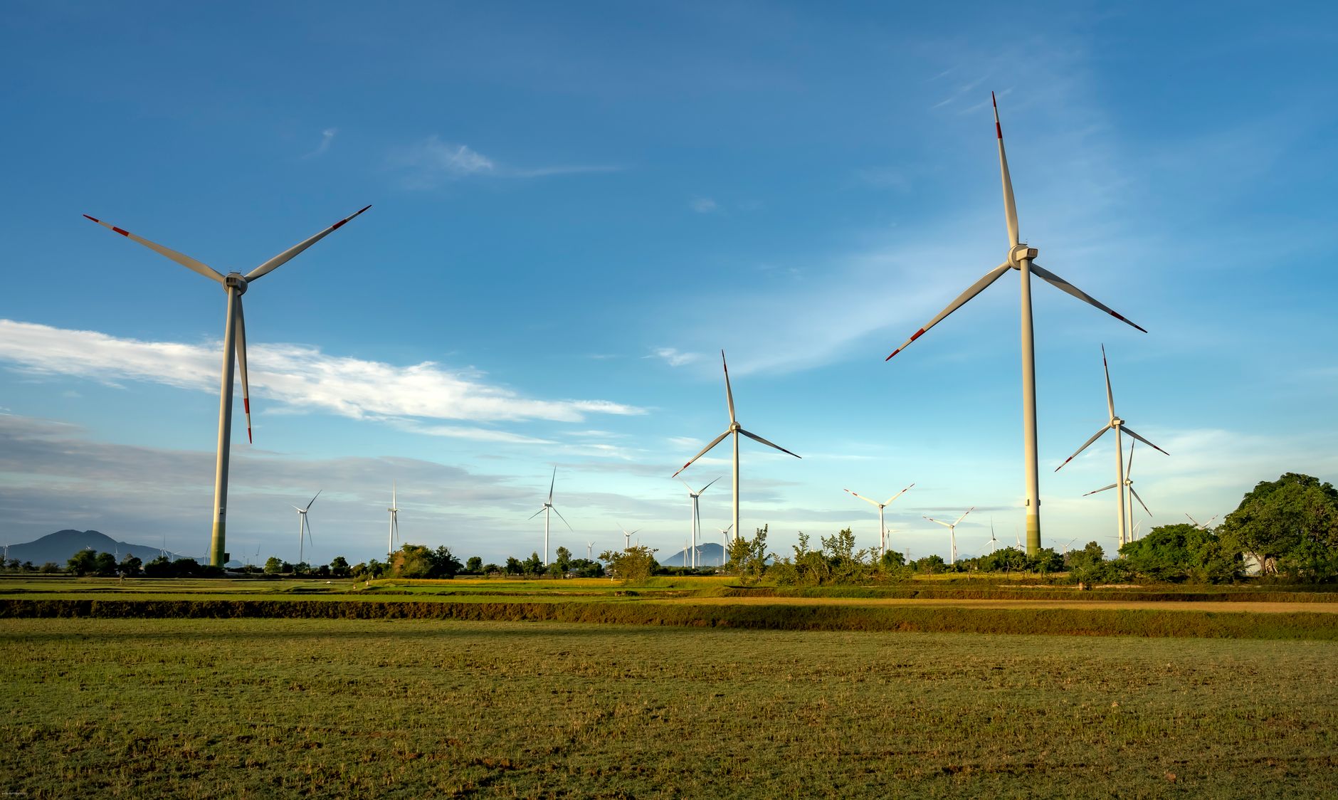 Parlamentul European impune priorități pentru COP31: renunțarea la combustibilii fosili și sprijin financiar masiv