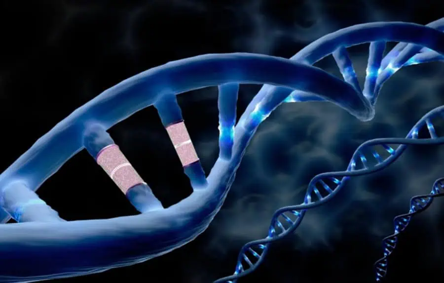 Revoluție în medicina genetică: Primul tratament prin editare ADN direct în organism al unei persoane