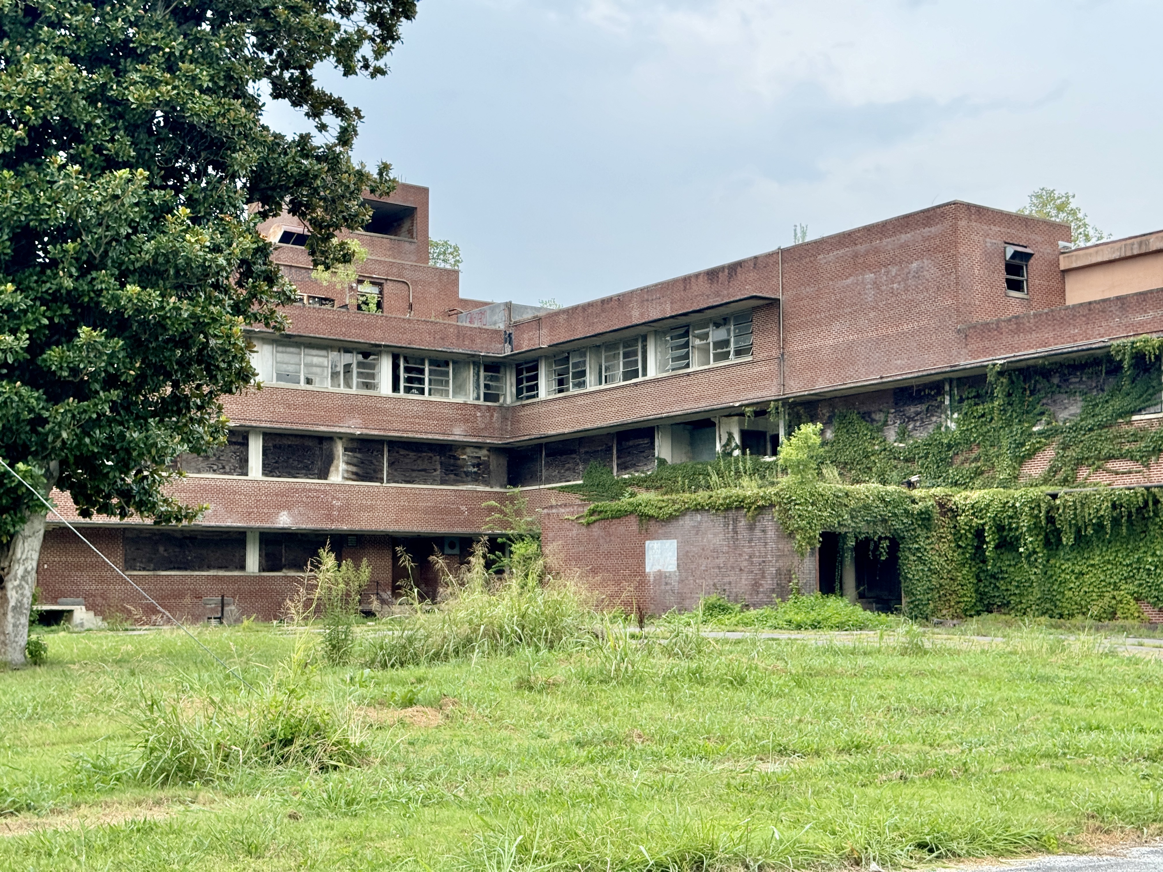 Proiect pentru înființarea unui institut de boli imunologice la Iași, anunță Alexandru Rogobete