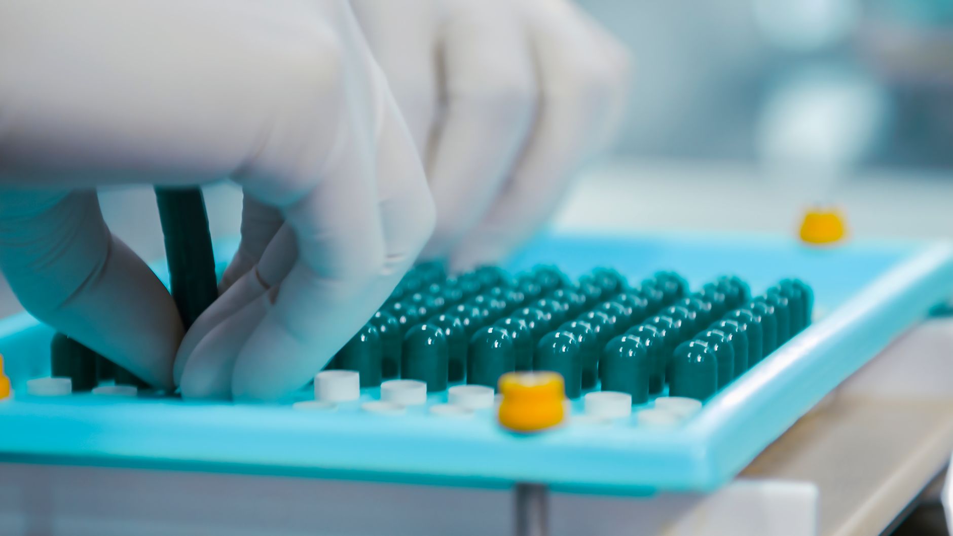 EFSA aprobă extinderea utilizării conservantului E 246 în 11 categorii de alimente