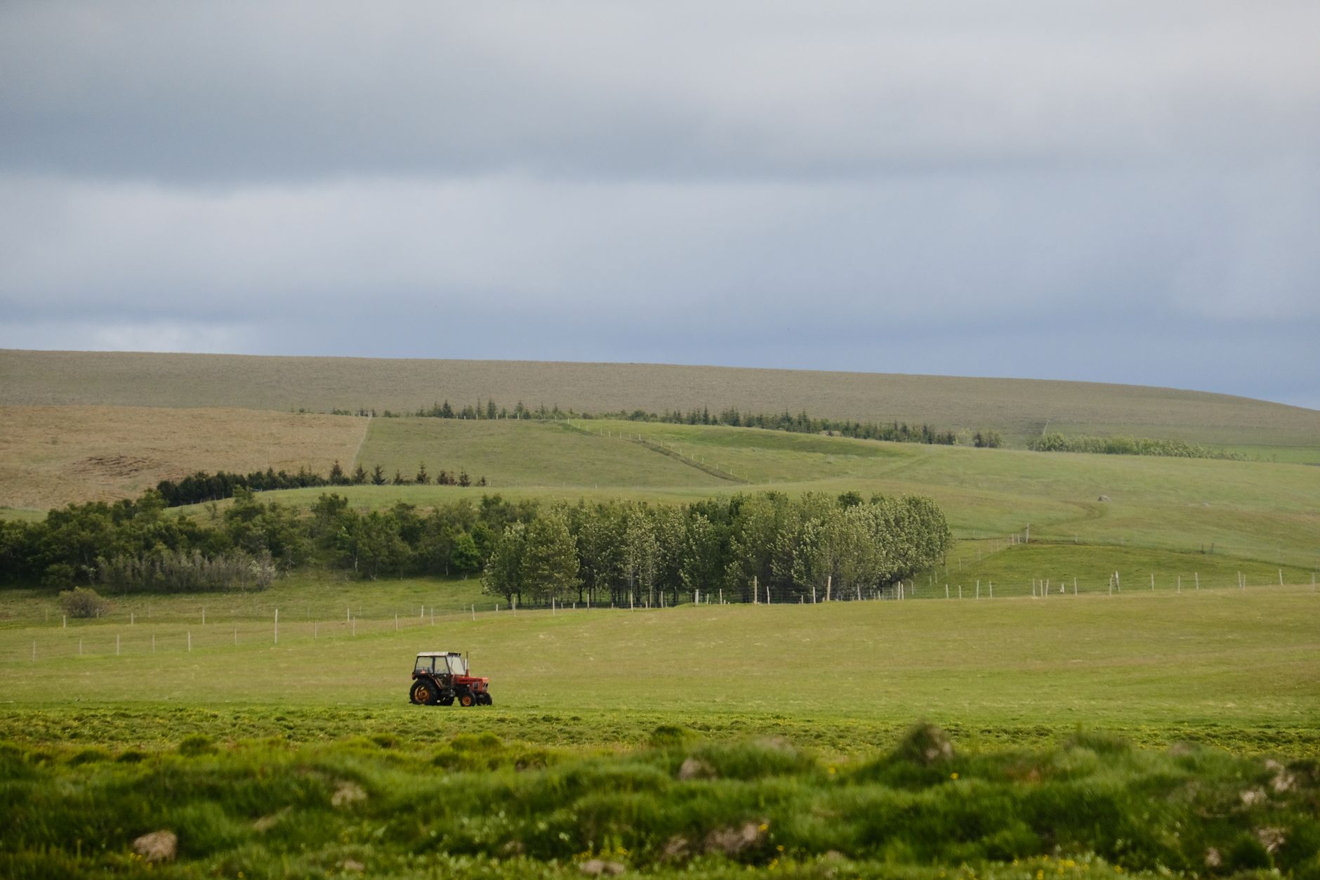 Viitorul agriculturii europene în discuție: Miniștrii UE negociază reforma Politicii Agricole Comune