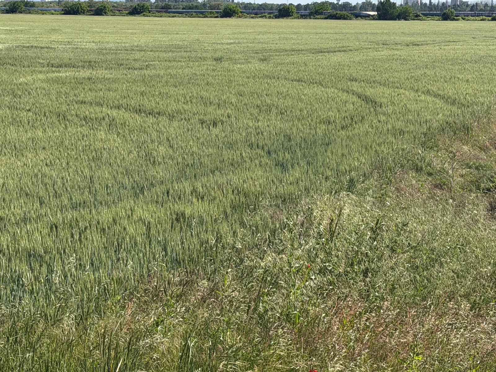 Acord la nivelul UE pentru reforma Politicii Agricole Comune: România a asigurat menținerea ajutoarelor ANT