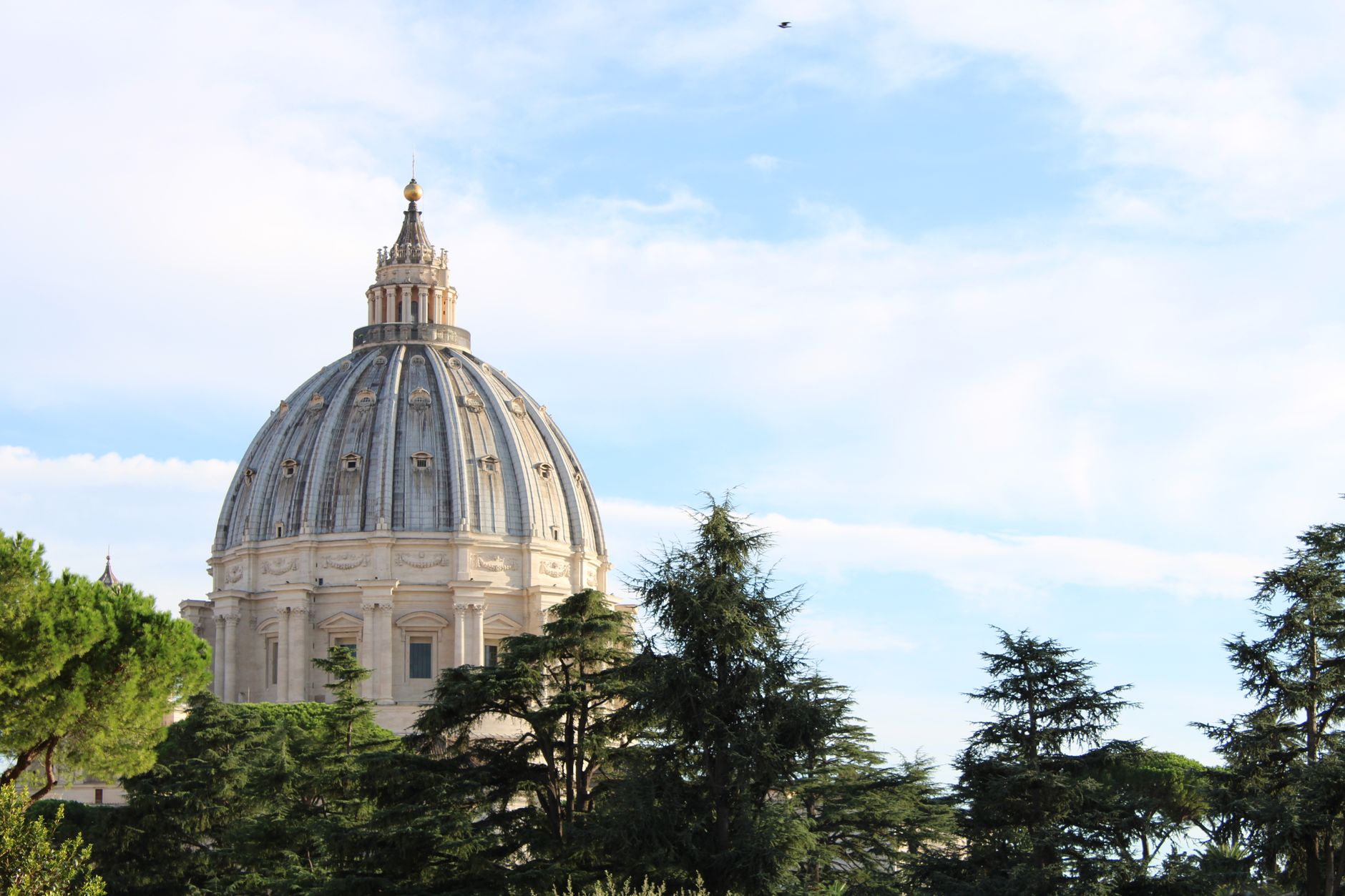 Impactul bolii lui Papa Leon al XIV-lea asupra percepției pontificatului, conform Vaticanului