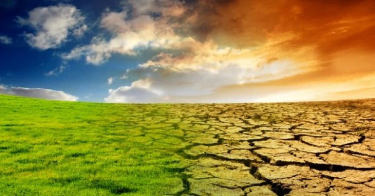 Schimbările climatice pot fi declarate urgență sanitară mondială: apelul cercetătorilor din The Lancet