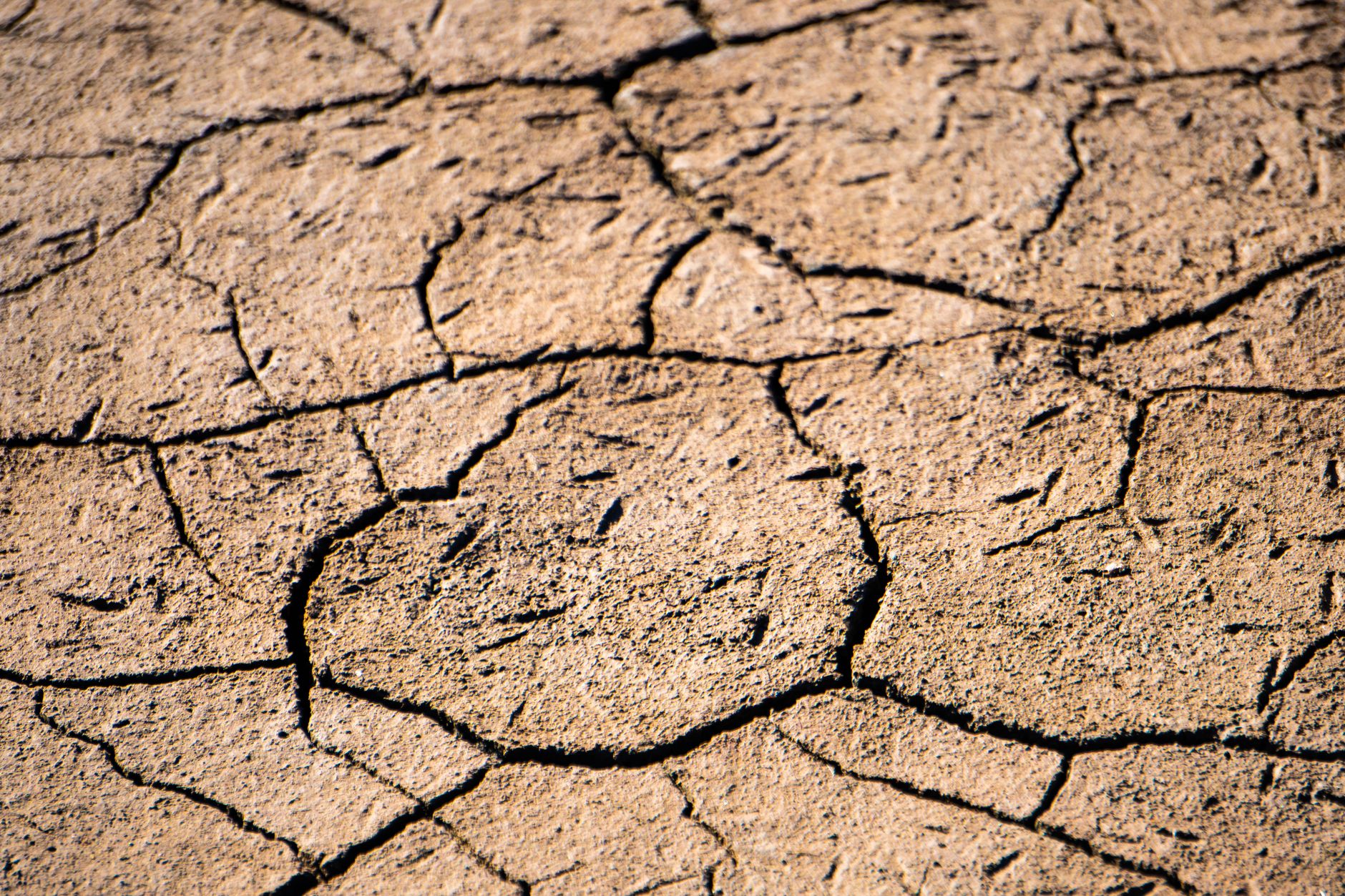 Schimbările climatice trebuie declarate urgență sanitară mondială, avertizează raportul Lancet Countdown