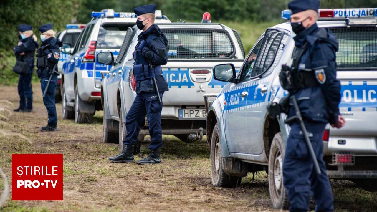 Români organizați în pădurile din Polonia pentru cules ciuperci. Autoritățile au declanșat controale masive
