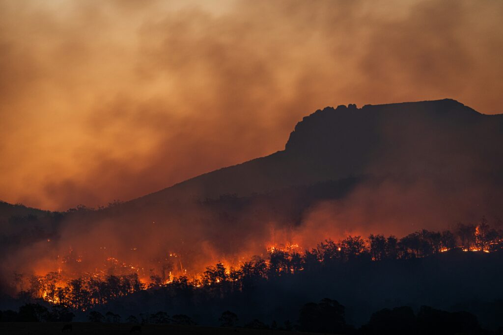 Fumul de la incendiile de vegetație este mai periculos pentru sănătate decât alte tipuri de poluare