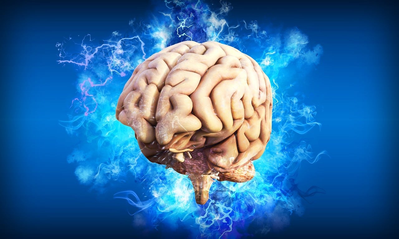 Fenomen cerebral neobișnuit în timpul menopauzei: procesul de îmbătrânire a creierului încetinește temporar