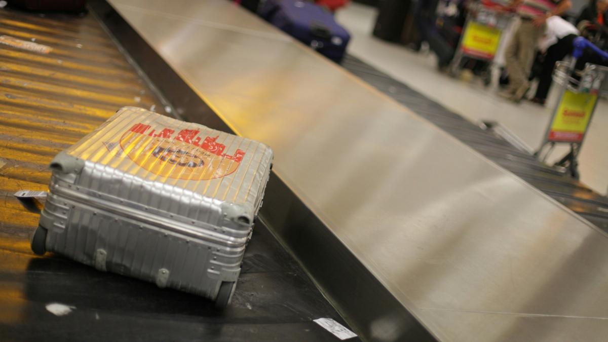 Un cetățean italian riscă închisoarea după ce a transportat un cap de crocodil la aeroportul din Torino