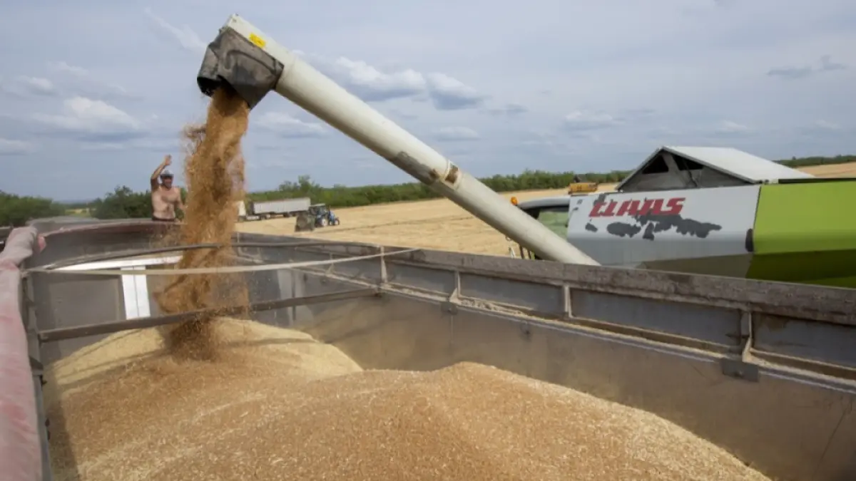 Dezinformare despre exporturile Moldovei: Presa pro-Kremlin distorsionează declarațiile ministrului Agriculturii