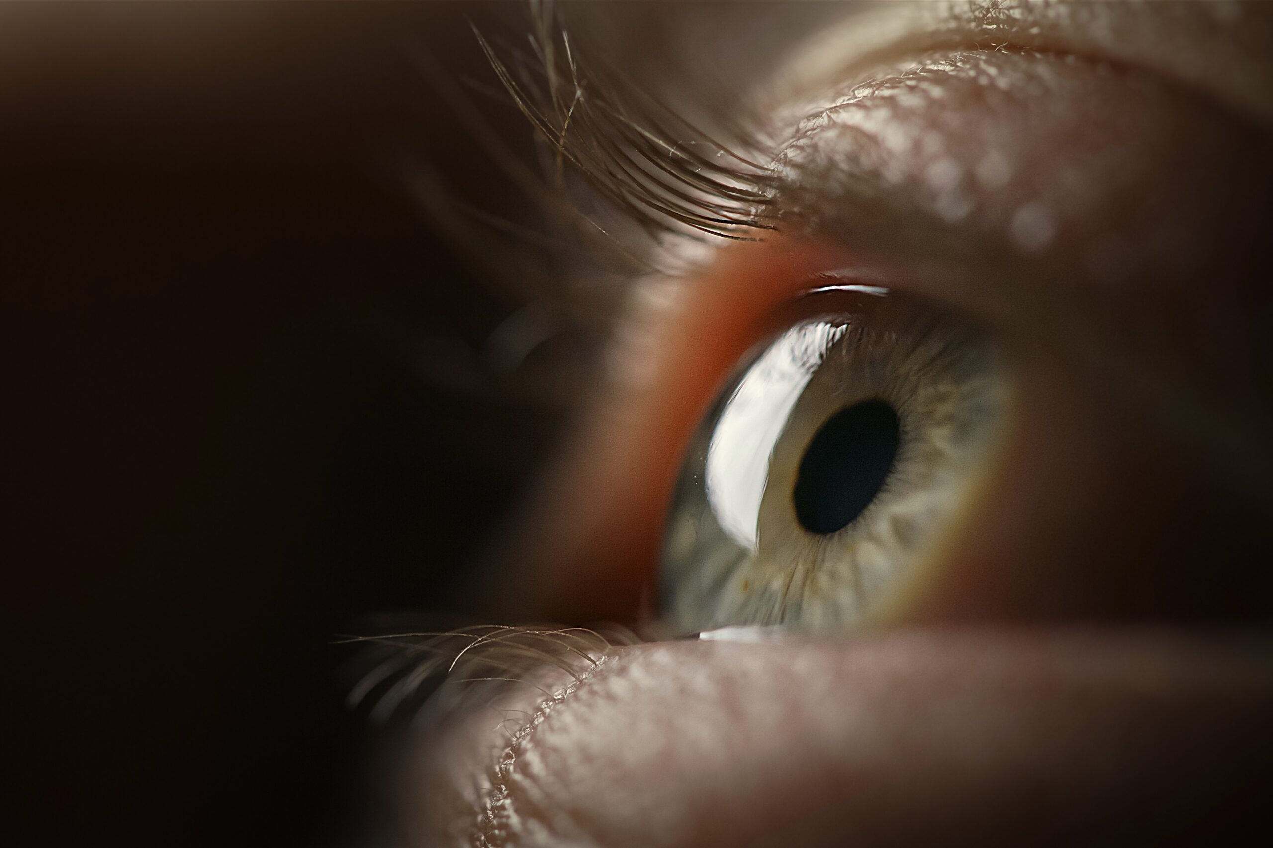 Scanarea ochiului poate estima vârsta biologică reală a organismului, arată un studiu din Seul