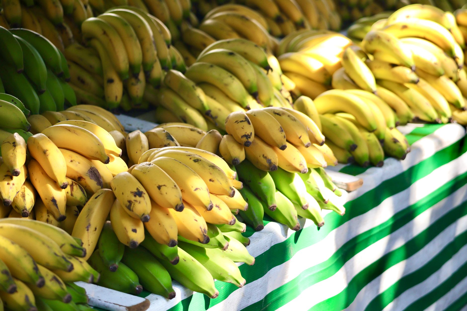 Beneficiile consumului de banane: de la sănătatea cardiovasculară la gestionarea energiei și a digestiei