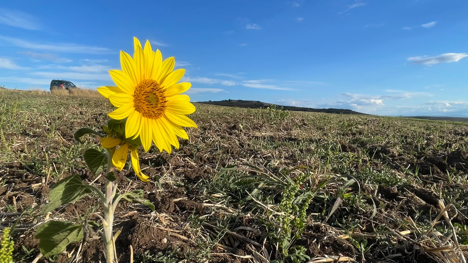 Campanie de dezinformare asupra agriculturii din Republica Moldova în contextul aderării la UE