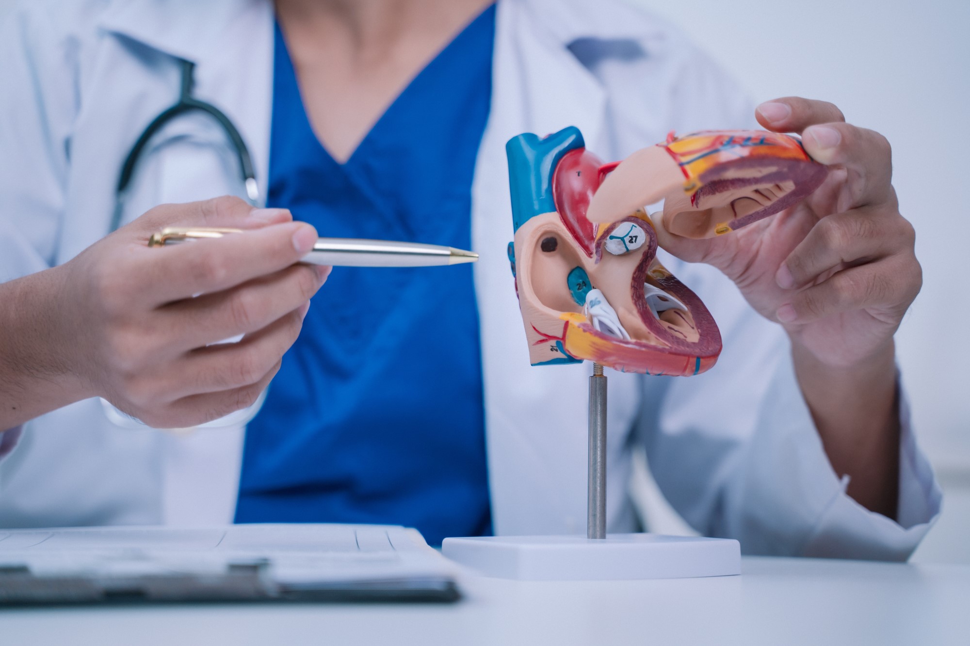 Descoperire medicală majoră: Inima umană are capacitatea de a-și regenera celulele musculare după un infarct