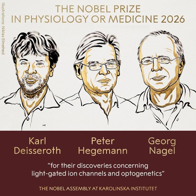 Premiul Nobel pentru Fiziologie sau Medicină 2026 acordat pentru descoperirile în optogenetică