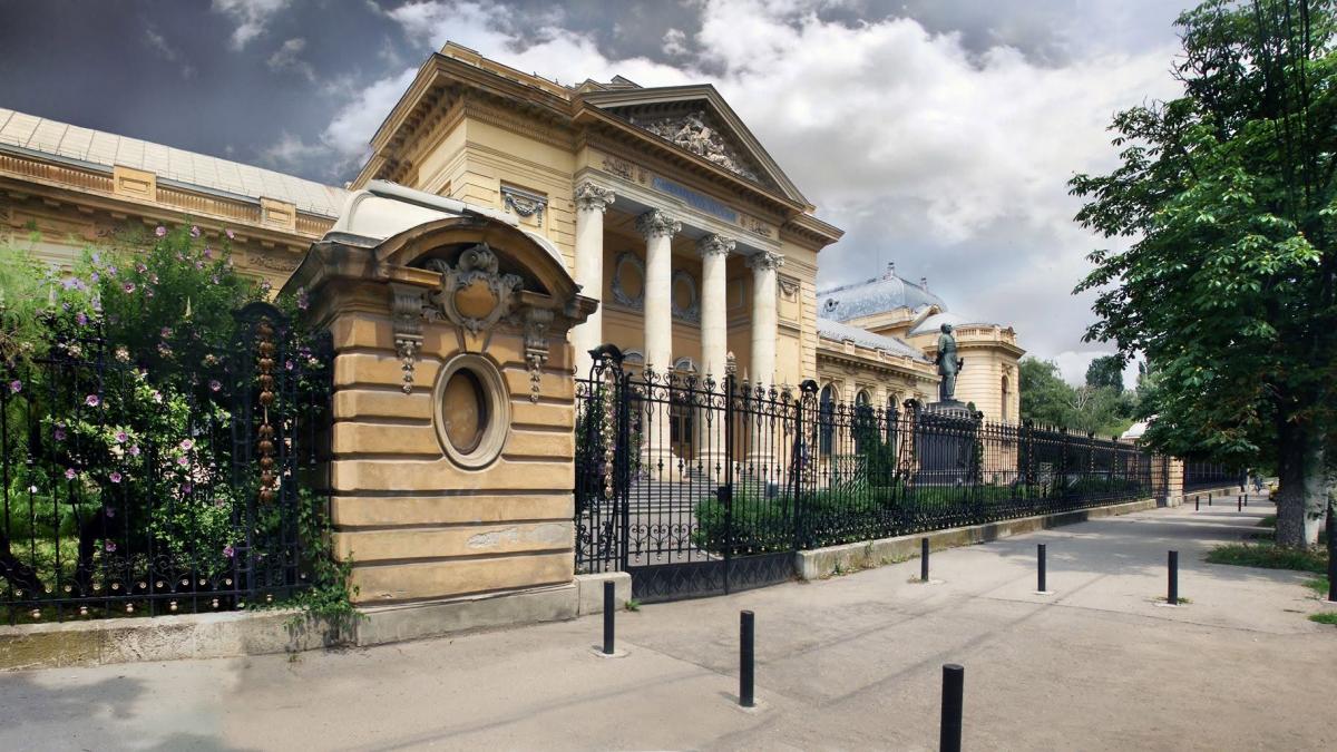 Schimbare majoră în sistemul de evaluare a medicilor: subiecte unice la nivel național pentru examenul de specialist