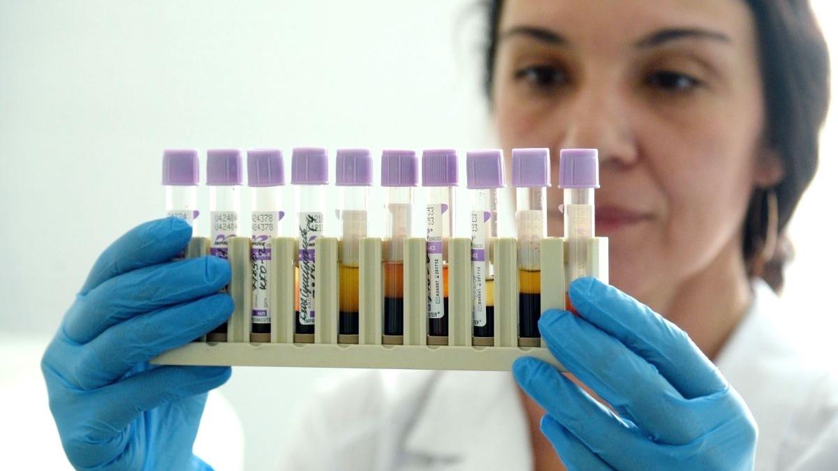 Avertismentul Colegiului Medicilor privind pesta: cum se transmite boala și importanța tratamentului rapid