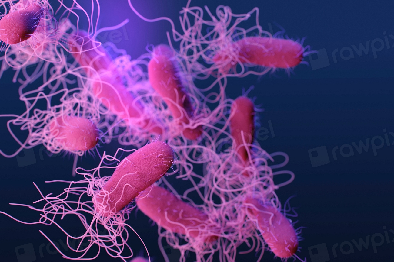 Microbiomul uman păstrează urmele migrațiilor strămoșilor, dar speciile bacteriene dispar în societățile moderne