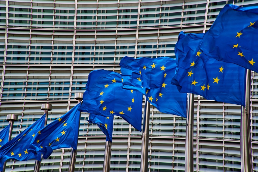 Vasile Pușcaș avertizează: România are nevoie de un deceniu de reforme înainte de adoptarea monedei Euro