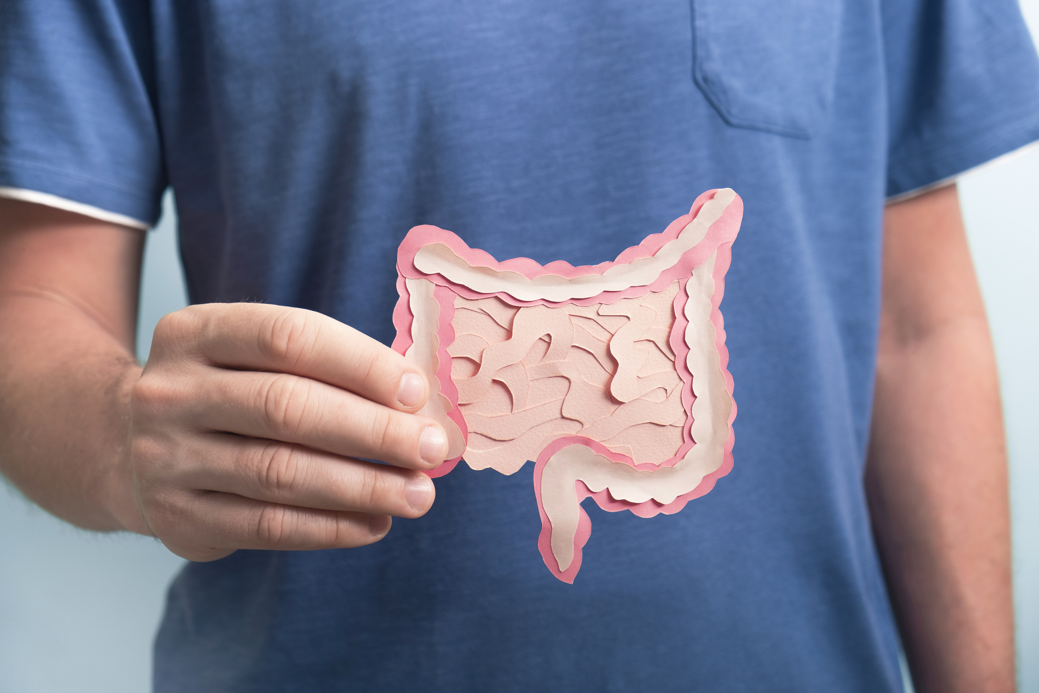 Legătura dintre microbiomul intestinal și chimia creierului: ce au descoperit cercetătorii