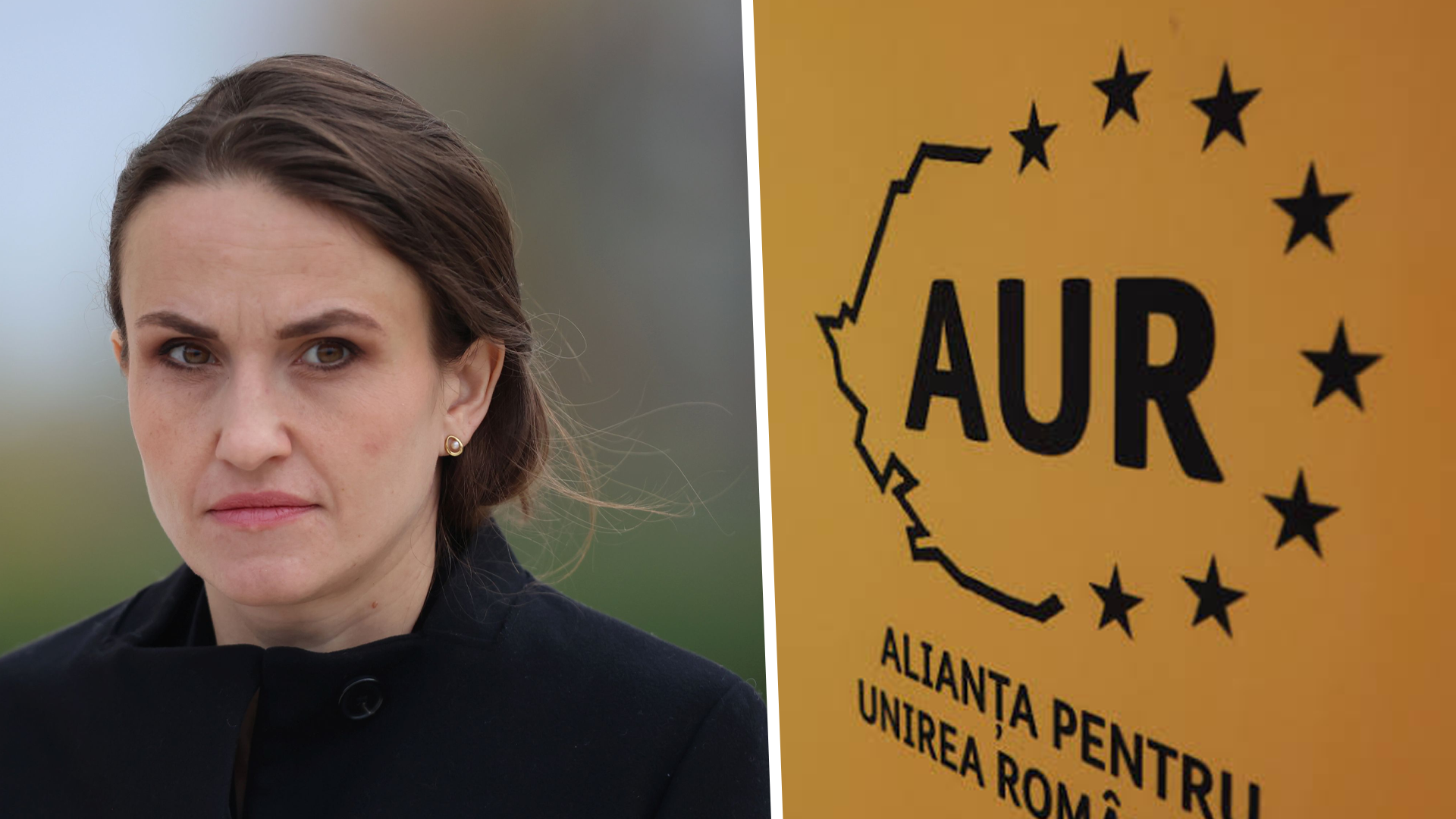 Senatul a adoptat declarația privind apărarea dreptului de veto al României în cadrul Uniunii Europene